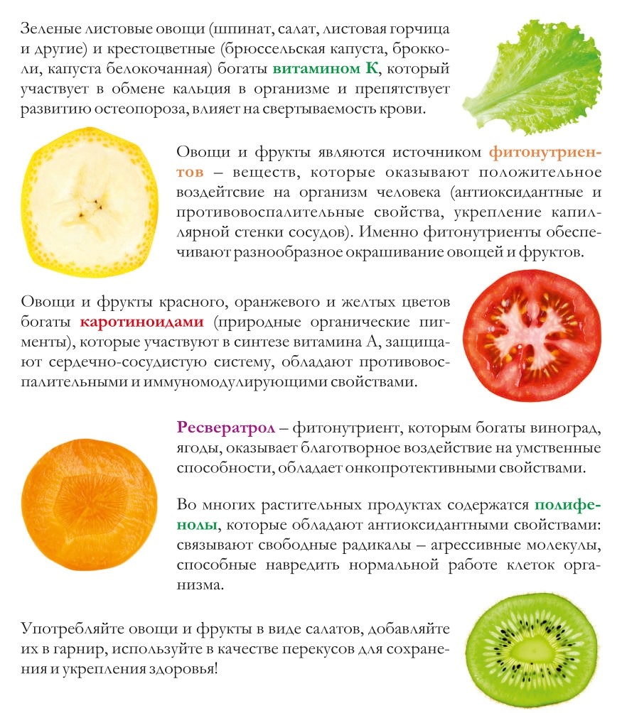 Листовка-Польза-овощей-и-фруктов-А5-2021_page-0002.jpg Листовка-Польза-овощей-и-фруктов-А5-2021_page-0002.jpg