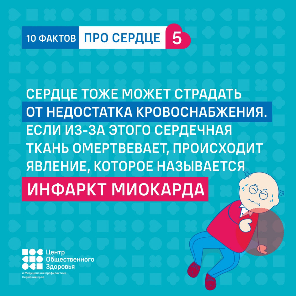 10 фактов про сердце5.jpg 10 фактов про сердце5.jpg