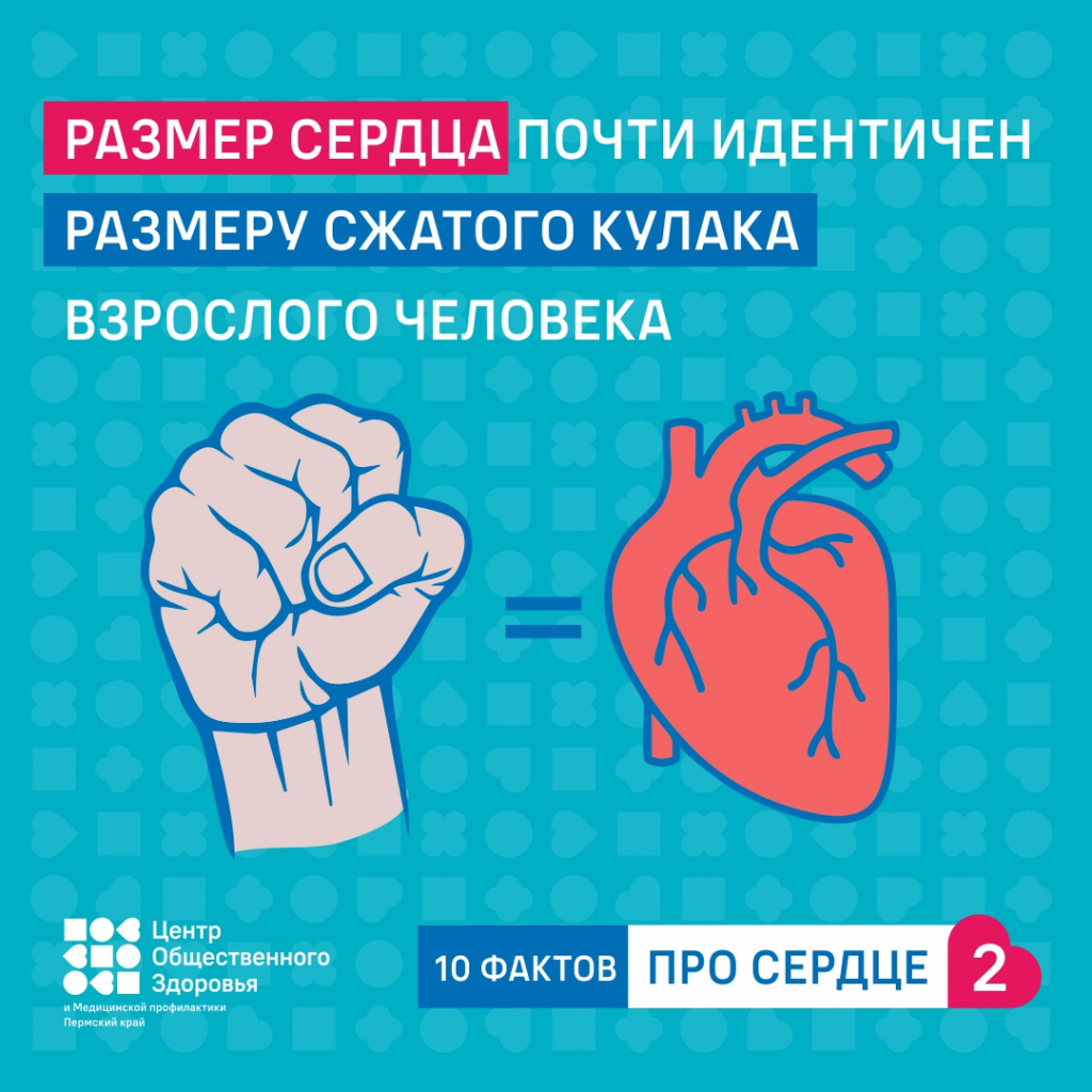 10 фактов про сердце2.jpg 10 фактов про сердце2.jpg