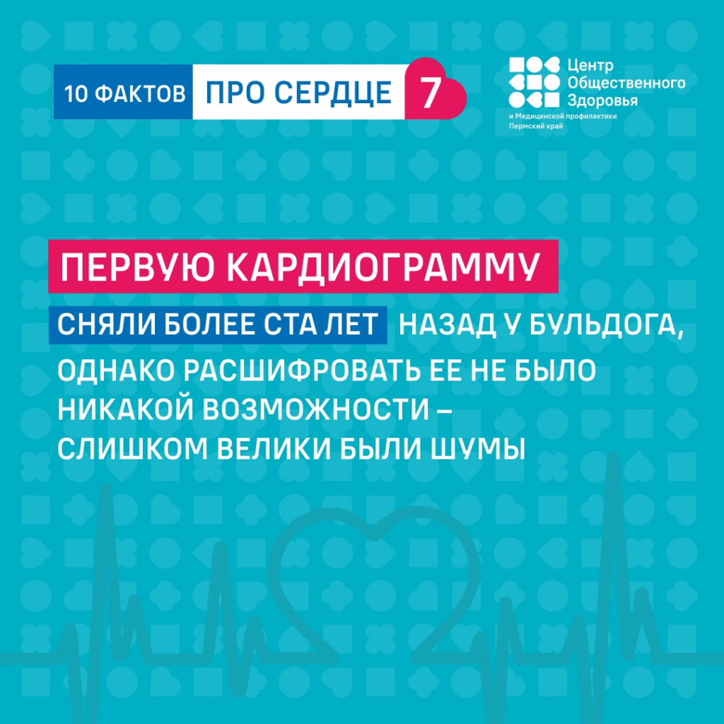 10 фактов про сердце7.jpg 10 фактов про сердце7.jpg
