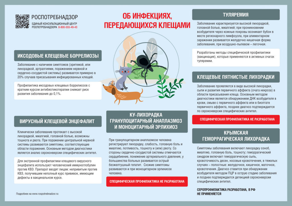 Информационное_изображение_о_клещах.jpg Информационное_изображение_о_клещах.jpg