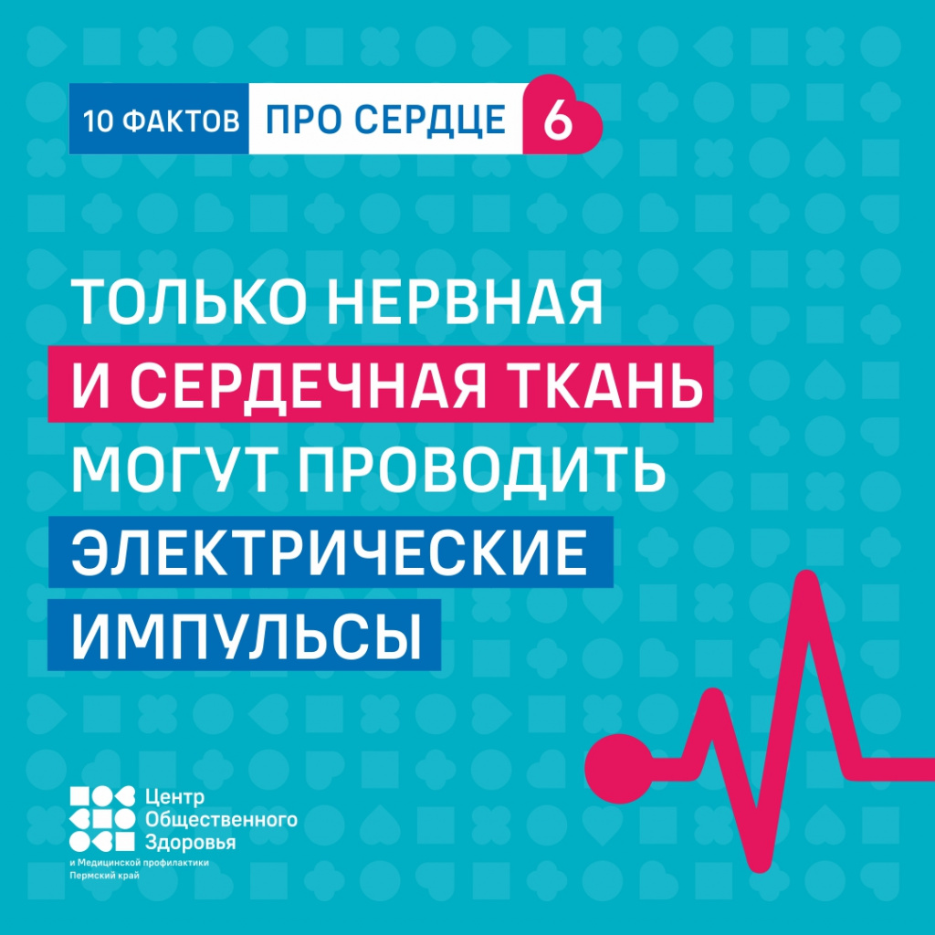 10 фактов про сердце6.jpg 10 фактов про сердце6.jpg