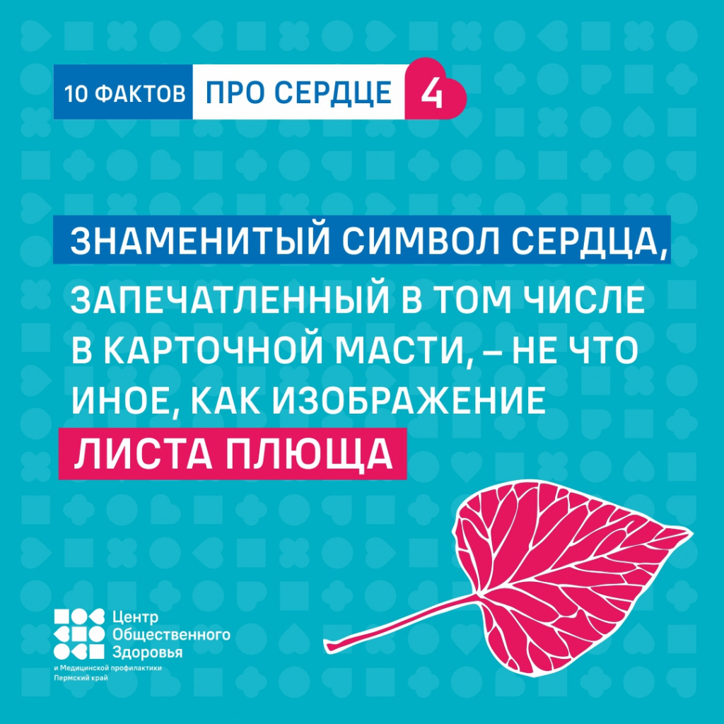 10 фактов про сердце4.jpg 10 фактов про сердце4.jpg