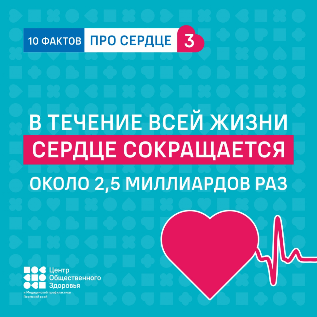 10 фактов про сердце3.jpg 10 фактов про сердце3.jpg